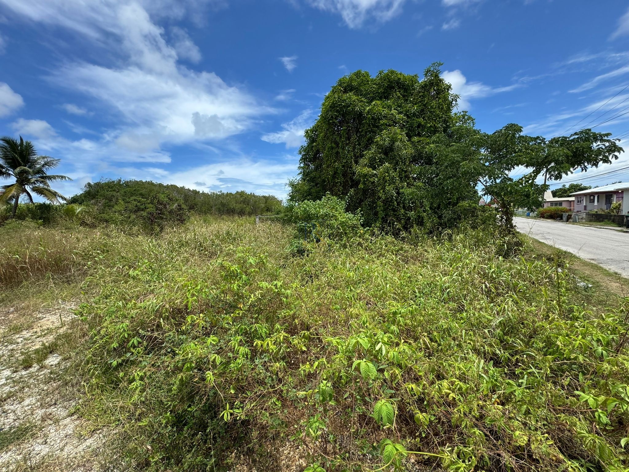 Lot 3 Marchfield, St. Philip