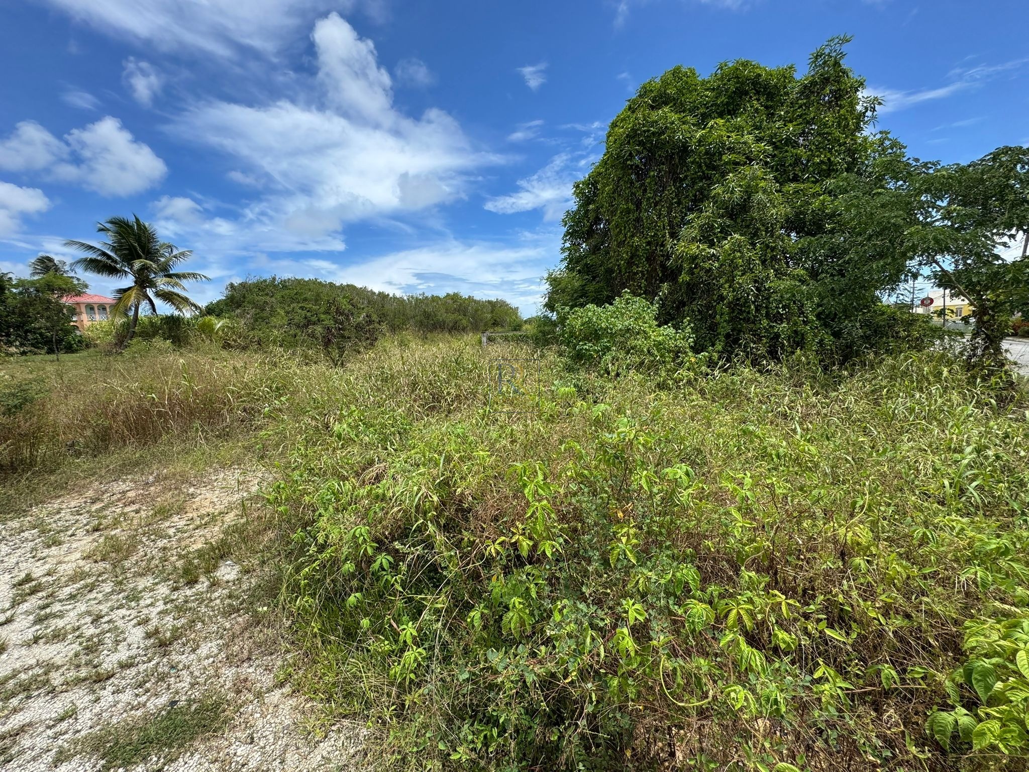 Lot 3 Marchfield, St. Philip