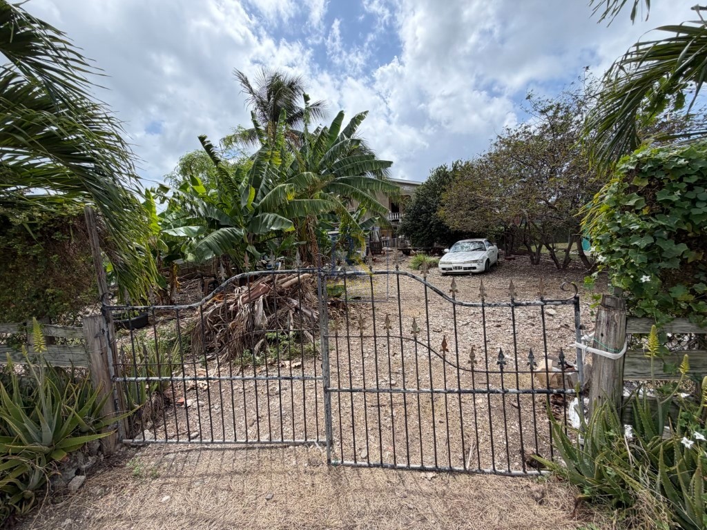 Lot 315 Kingsland, Christ Church