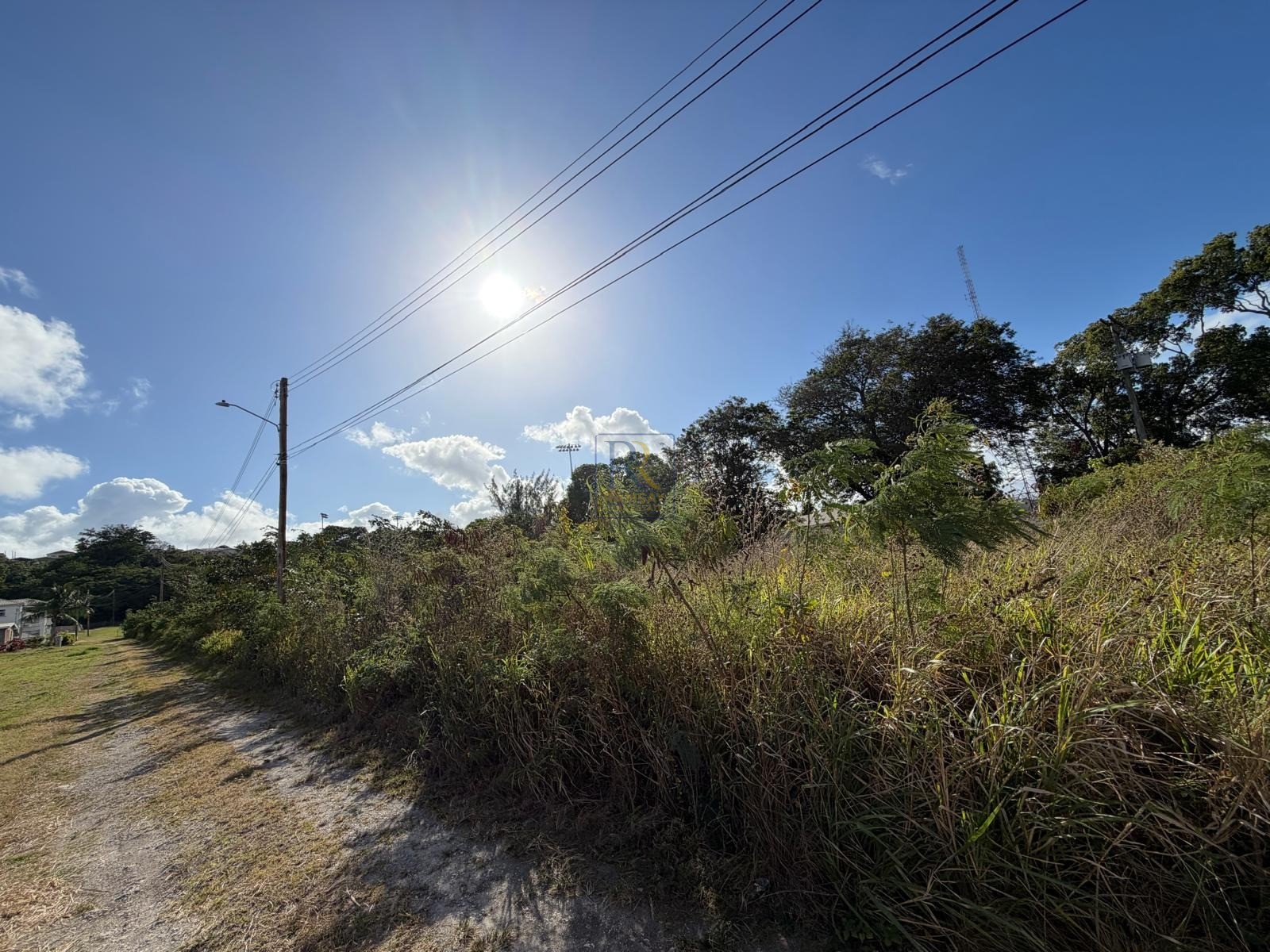 Crusher Site Road, Prospect, St. James