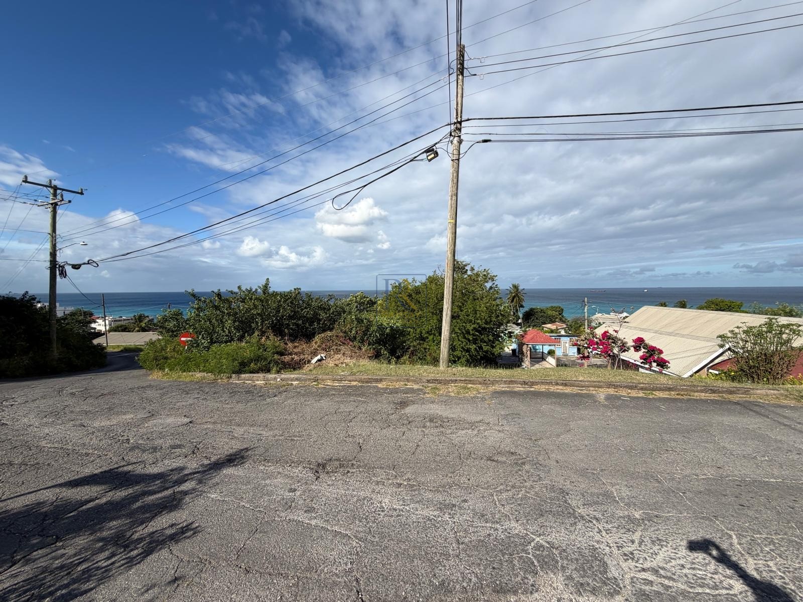 Crusher Site Road, Prospect, St. James