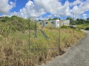 Lot 66 Orange Estates, Jordans Plantation, St. George