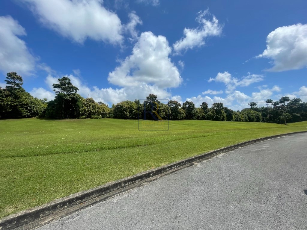 Lot J3 Apes Hill, St. James