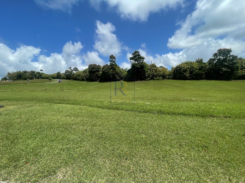 Lot J3 Apes Hill, St. James